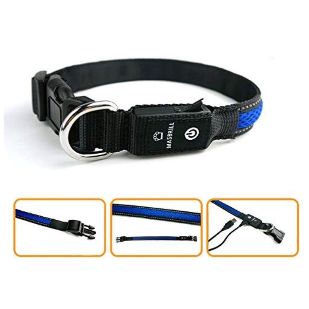 Webbing LED Dog Collar